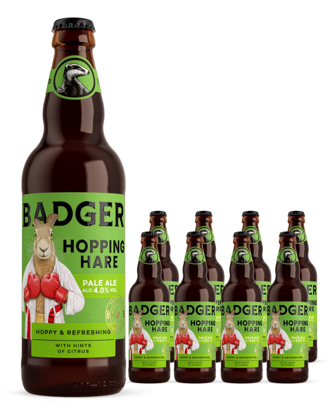Badger Hopping Hare Pale Ale Multipack, 8 x 500 ml Beer
