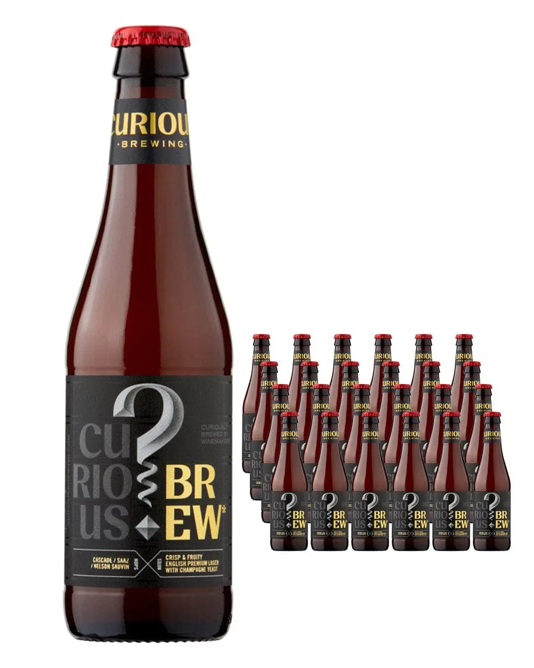 Curious Brew Lager Multipack, 24 x 330 ml Beer